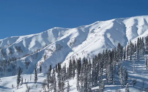 Most Wanted Kashmir Package - GULMARG!
